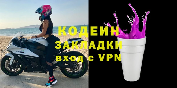 дурь Бородино