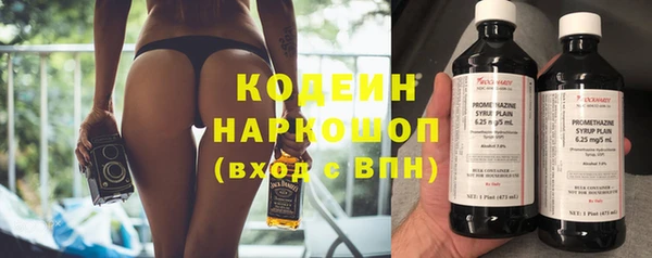 дурь Бородино