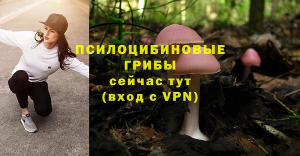 дурь Бородино