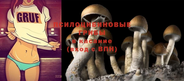 альфа пвп Верхний Тагил