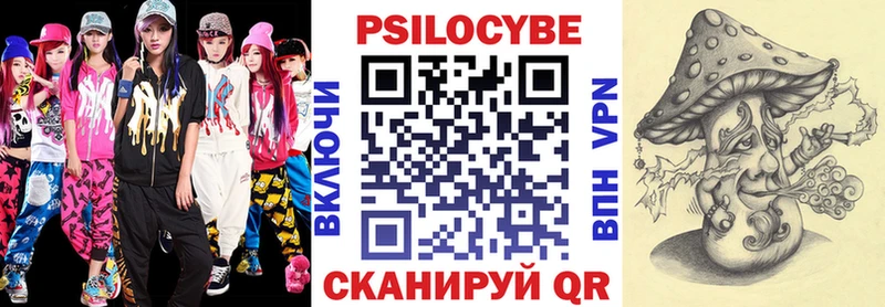 где продают Закаменск Галлюциногенные грибы GOLDEN TEACHER